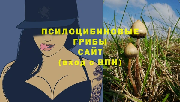spice Алексин