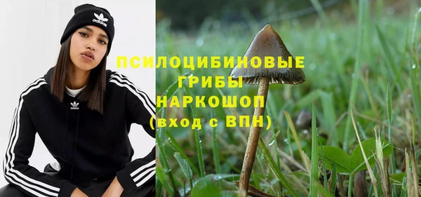крисы Алексеевка