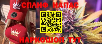 молекула духа Донецк