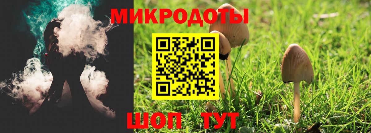 Галлюциногенные грибы Psilocybine cubensis Боровичи