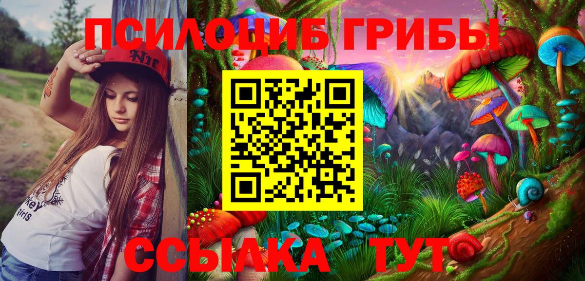 Галлюциногенные грибы Psilocybine cubensis  где купить наркоту  Боровичи  Вход с VPN 
