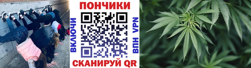 МАРИХУАНА THC 21%  наркотики  omg зеркало  Боровичи 